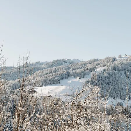 Les Du Mont D'arbois & Spa, Отель 5*